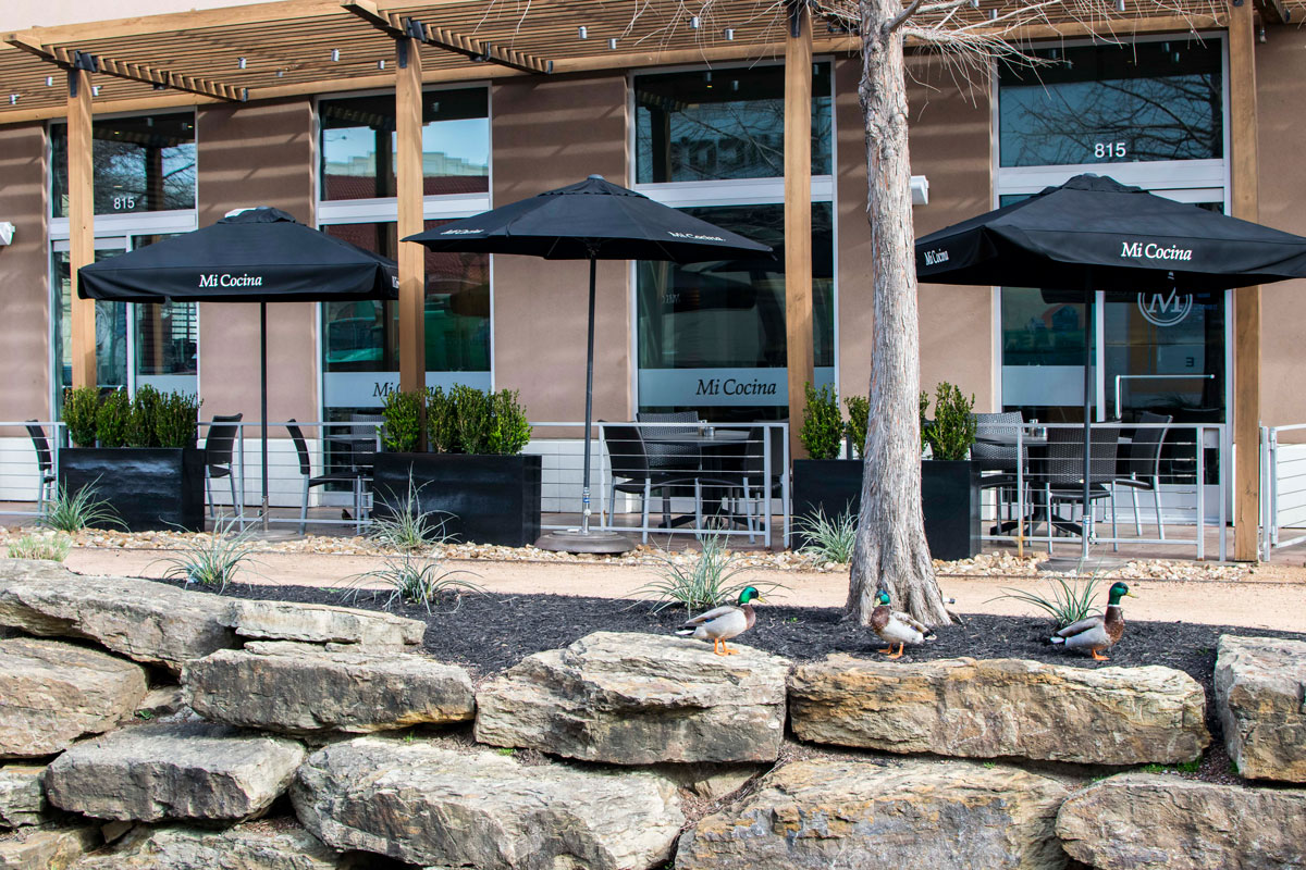 Mi Cocina Watters Creek Patio